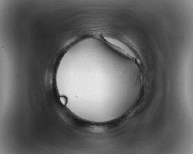 X0000086270115200704191933