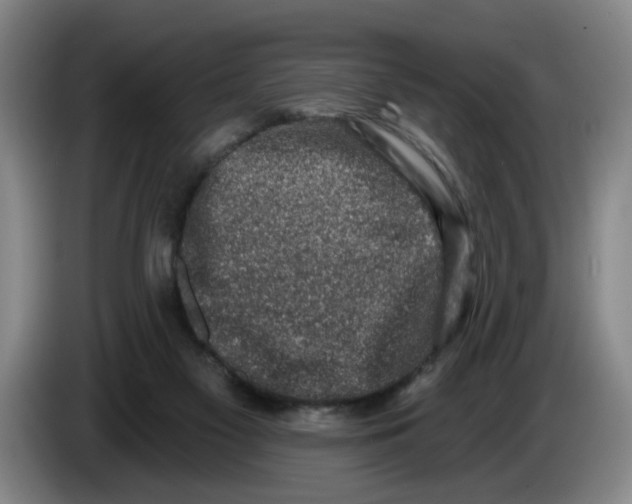 X0000086270117200704191933