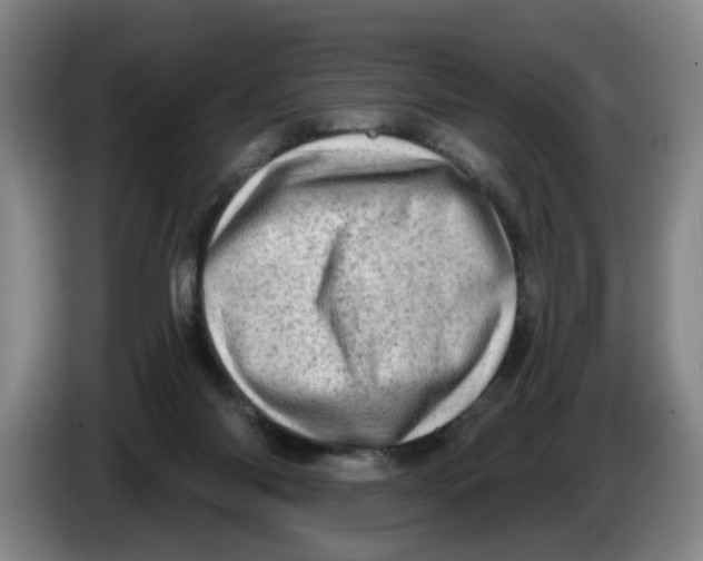 X0000086270118200704191933