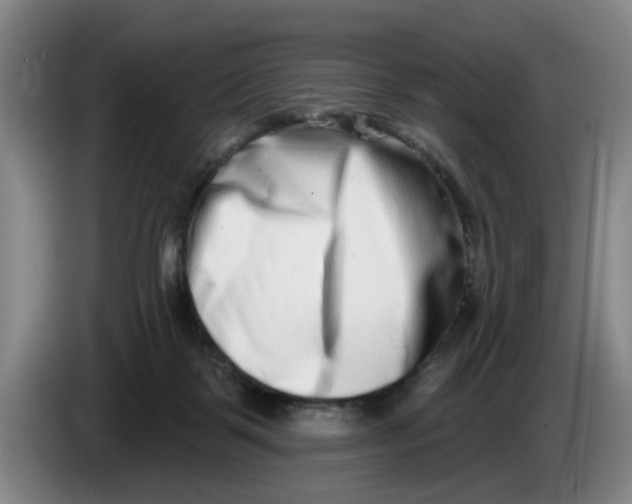 X0000086270123200704191933