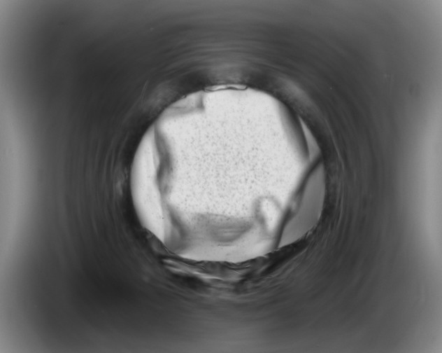 X0000086270125200704191933