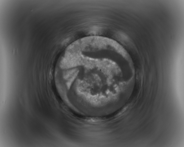 X0000086270127200704191933