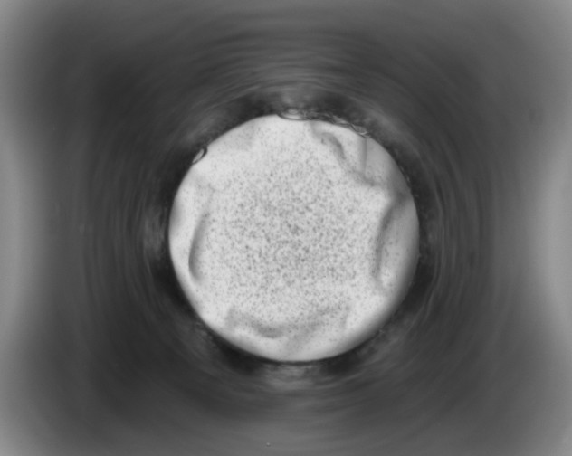 X0000086270129200704191933