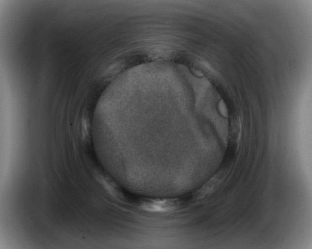 X0000086270130200704191933