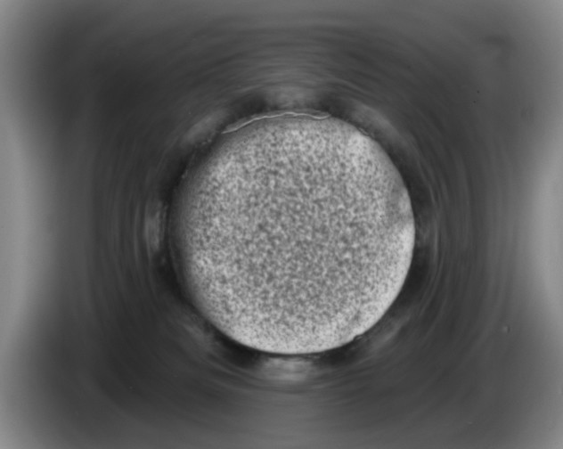 X0000086270133200704191933