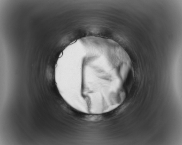 X0000086270135200704191933