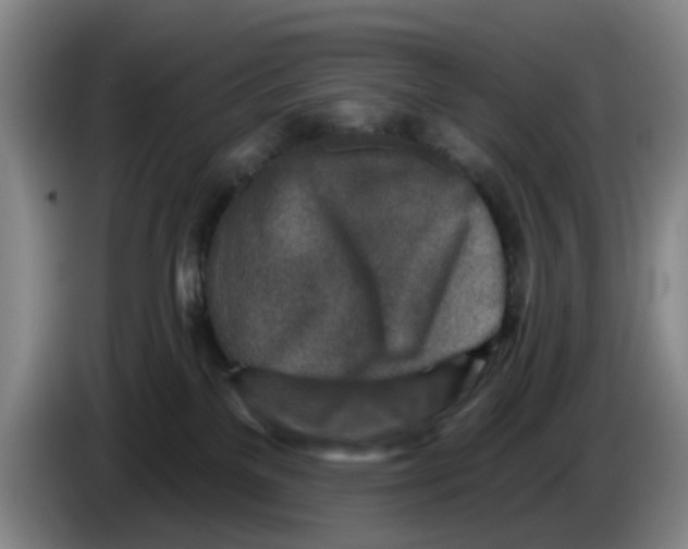 X0000086270137200704191933