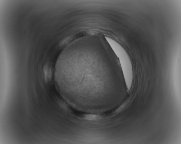 X0000086270139200704191933