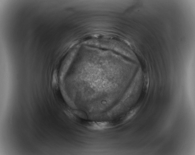 X0000086270143200704191933