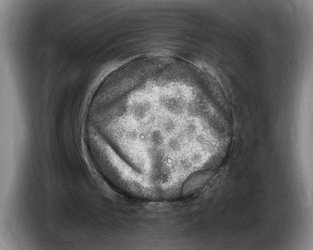 X0000086270145200704191932