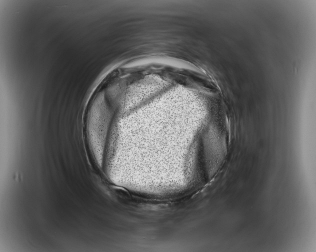 X0000086270147200704191932