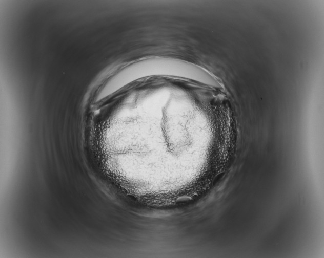 X0000086270149200704191932