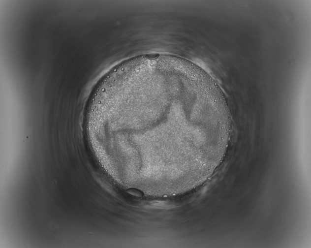 X0000086270151200704191932