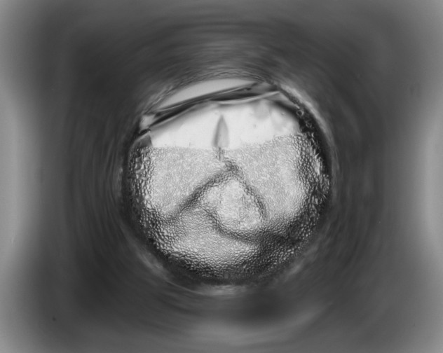 X0000086270153200704191932