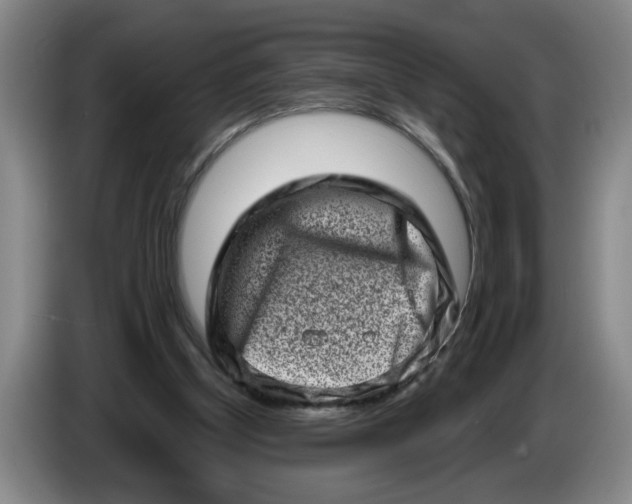 X0000086270154200704191932