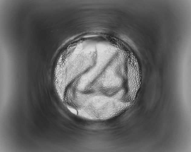 X0000086270155200704191932