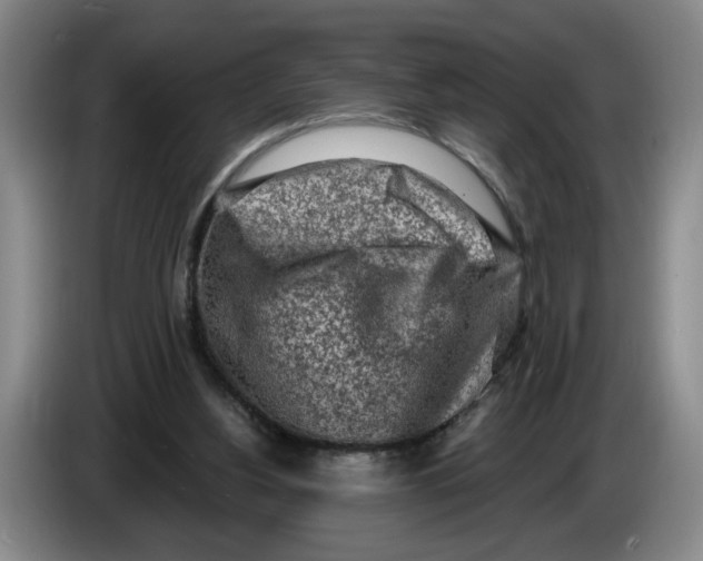 X0000086270156200704191932