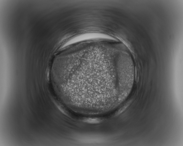 X0000086270157200704191932