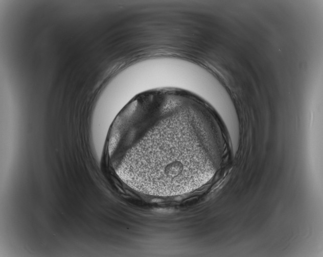 X0000086270158200704191932