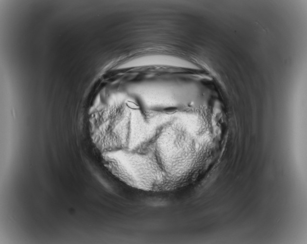 X0000086270159200704191932