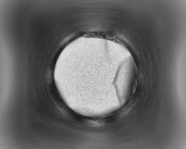 X0000086270164200704191932