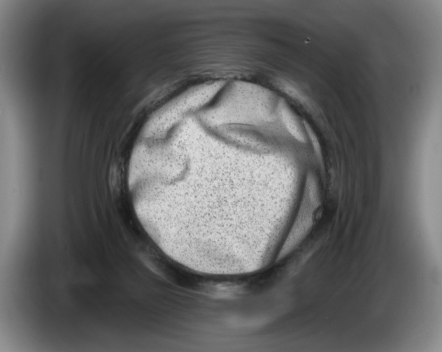 X0000086270165200704191932