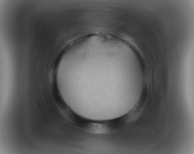 X0000086270167200704191932