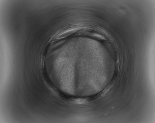 X0000086270168200704191932