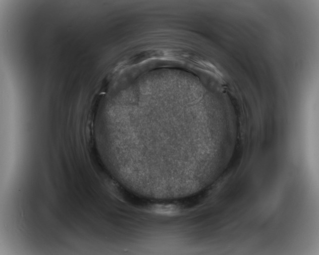 X0000086270169200704191932