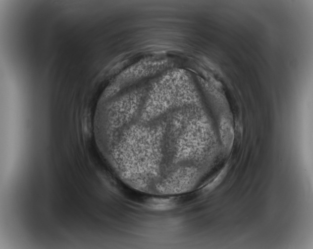 X0000086270170200704191932