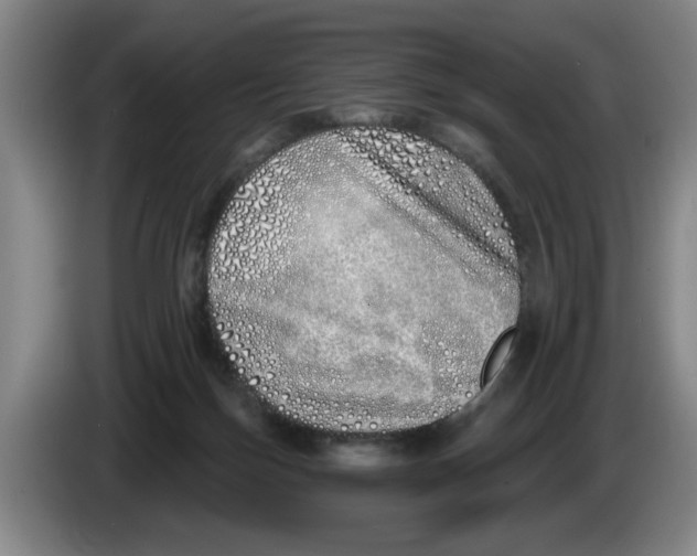 X0000086270171200704191932