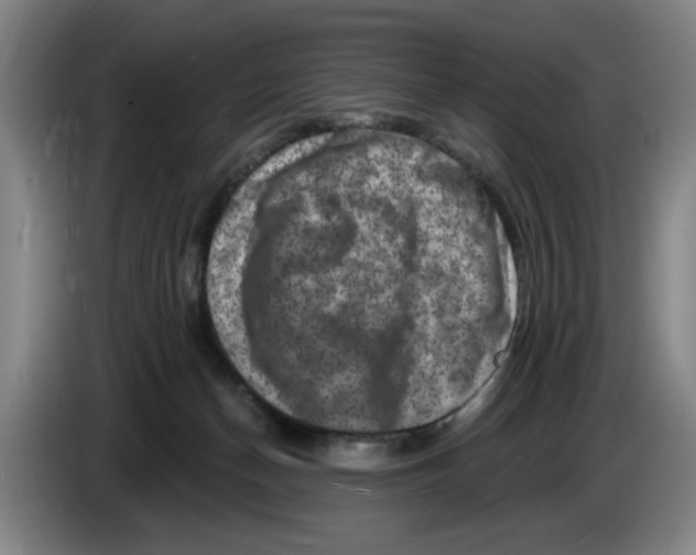 X0000086270174200704191932