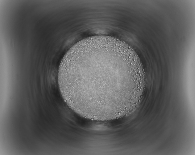 X0000086270175200704191932