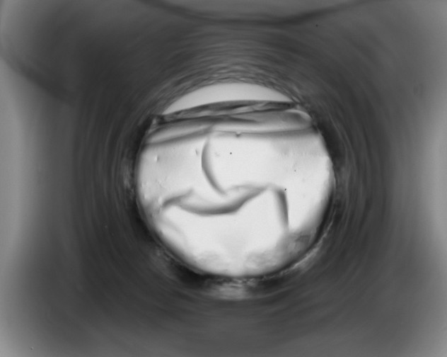 X0000086270178200704191932