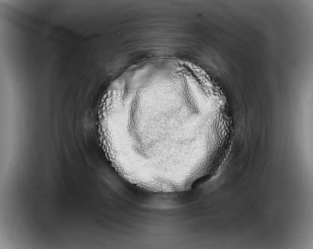 X0000086270179200704191932