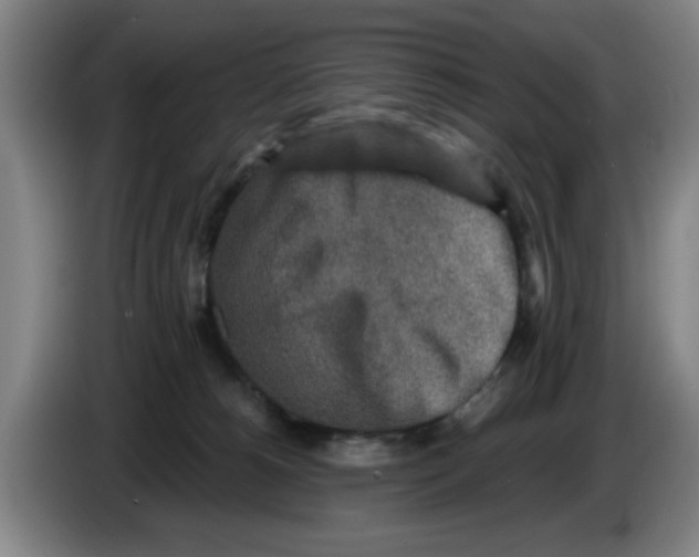 X0000086270180200704191932