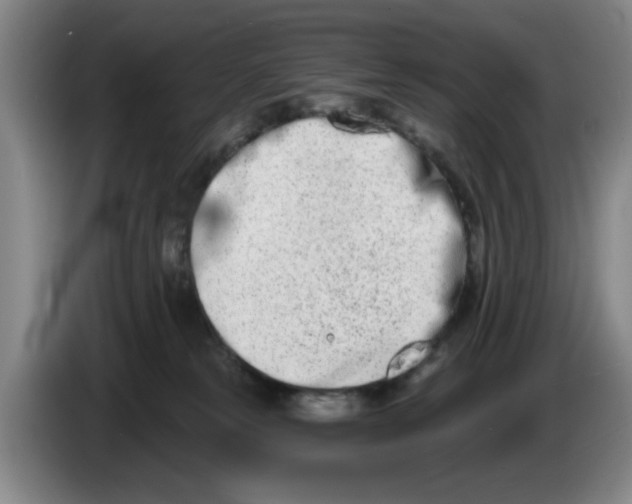 X0000086270181200704191932