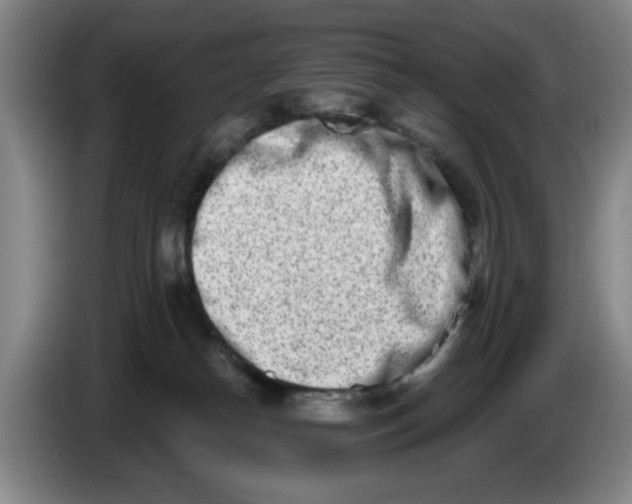 X0000086270182200704191932