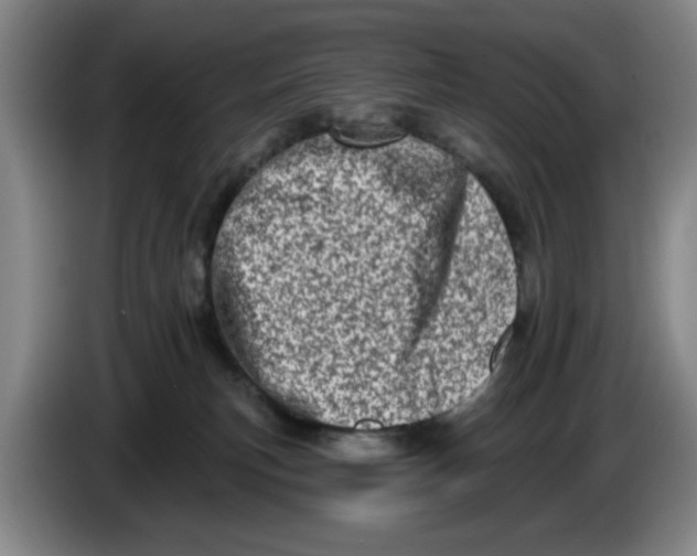 X0000086270183200704191932