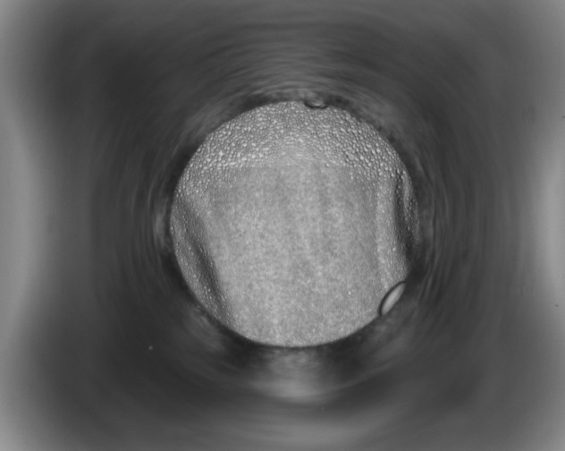 X0000086270185200704191932