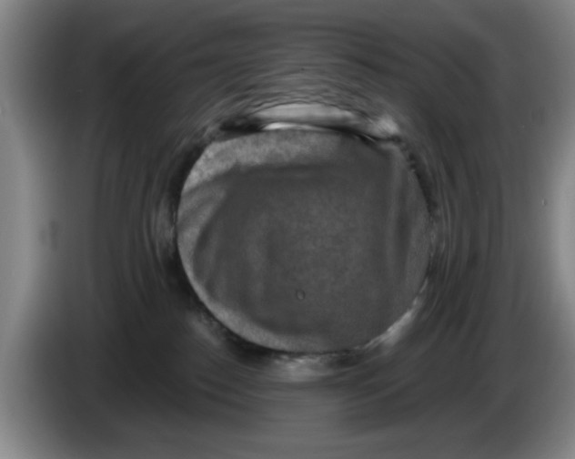 X0000086270186200704191932