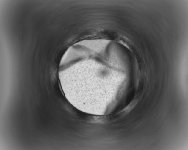 X0000086270188200704191932