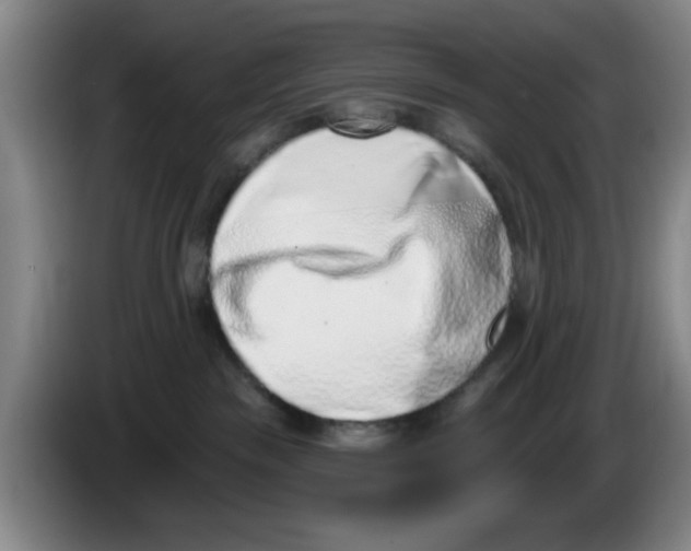 X0000086270189200704191932