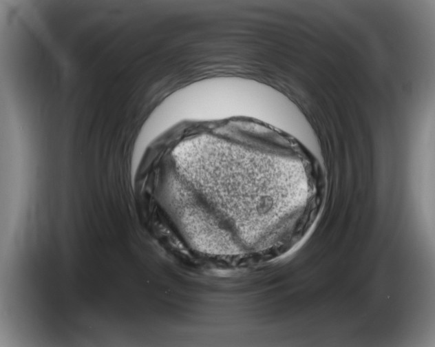 X0000086270190200704191932