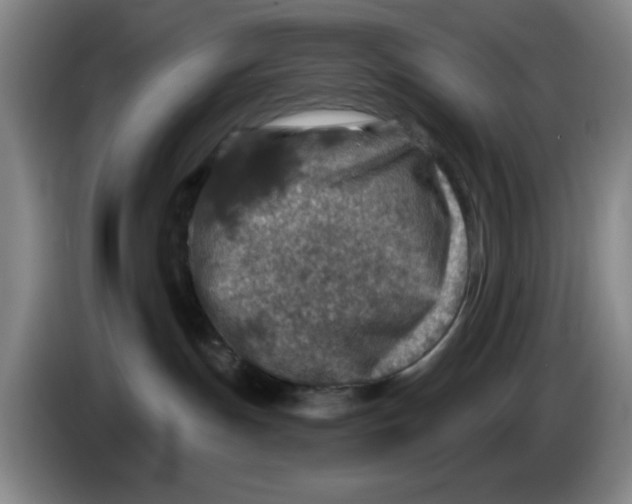 X0000086270191200704191933