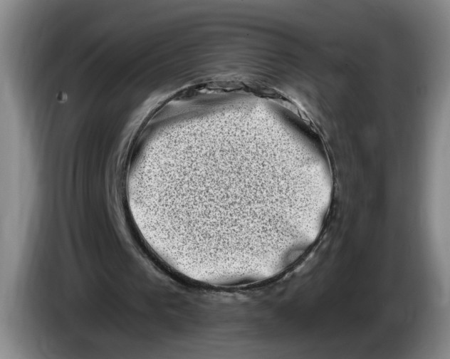 X0000086270193200704191932