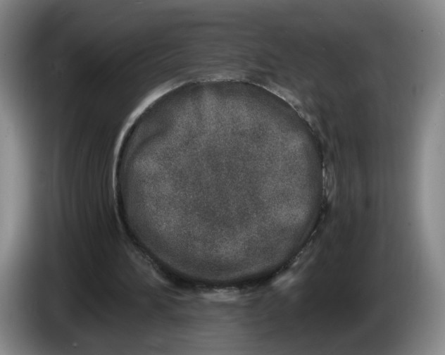 X0000086270196200704191932