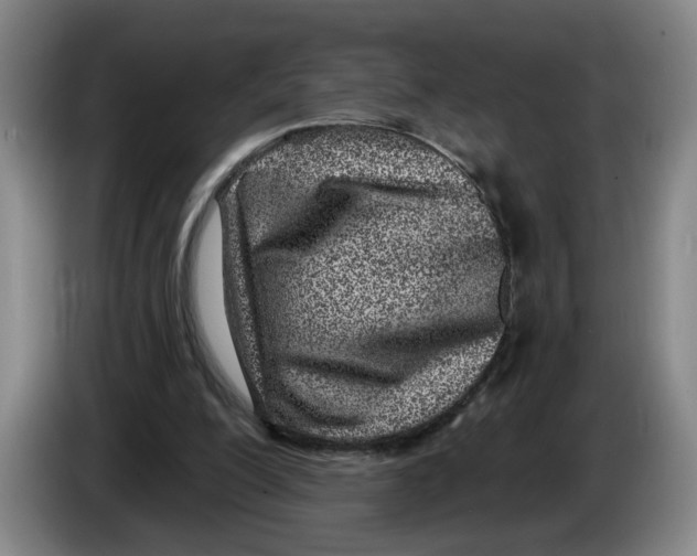 X0000086270200200704191932