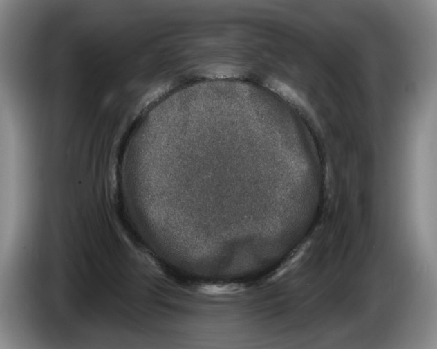 X0000086270202200704191932