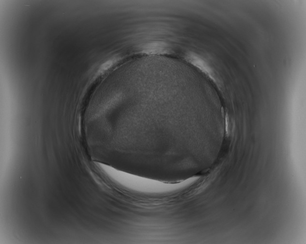 X0000086270205200704191932